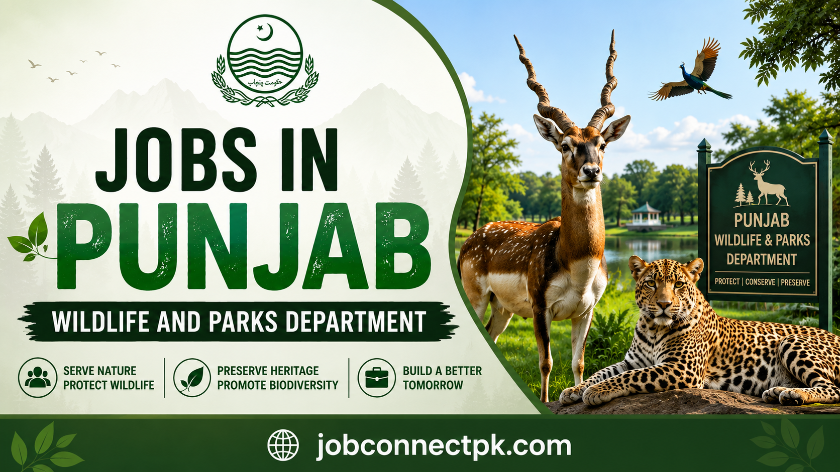 Jobs in Punjab Wildlife and Parks Department